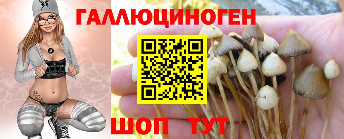 Псилоцибиновые грибы прущие грибы  Вход с VPN  Псилоцибиновые грибы GOLDEN TEACHER  Саянск 